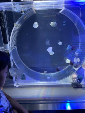 名古屋港水族館に投稿された画像（2023/5/4）