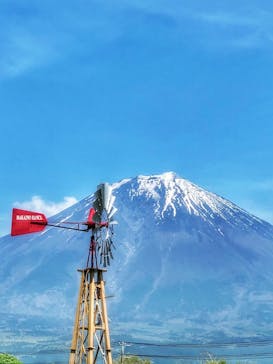 まかいの牧場に投稿された画像（2023/5/3）