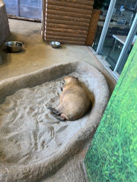 新江ノ島水族館に投稿された画像（2023/5/4）