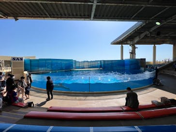 新江ノ島水族館に投稿された画像（2023/5/4）