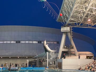 名古屋港水族館に投稿された画像（2023/5/4）