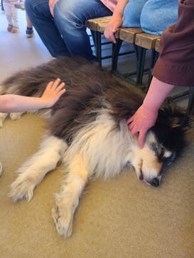 那須どうぶつ王国に投稿された画像（2023/5/4）