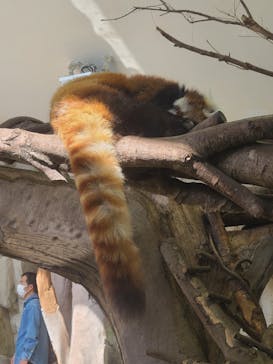 那須どうぶつ王国に投稿された画像（2023/5/4）