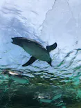 天王寺動物園に投稿された画像（2023/5/4）