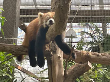 神戸どうぶつ王国に投稿された画像（2023/5/4）