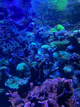 名古屋港水族館に投稿された画像（2023/5/4）