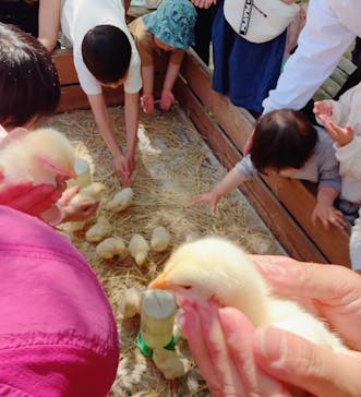 しろとり動物園に投稿された画像（2023/5/4）