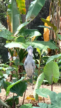 神戸どうぶつ王国に投稿された画像（2023/5/4）