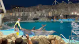 名古屋港水族館に投稿された画像（2023/5/4）