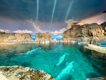 名古屋港水族館に投稿された画像（2023/5/4）