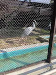 天王寺動物園に投稿された画像（2023/5/4）