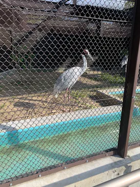天王寺動物園に投稿された画像（2023/5/4）