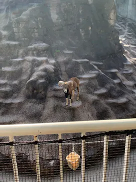 天王寺動物園に投稿された画像（2023/5/4）