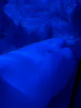 名古屋港水族館に投稿された画像（2023/5/4）