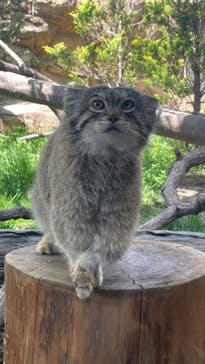 那須どうぶつ王国に投稿された画像（2023/5/4）