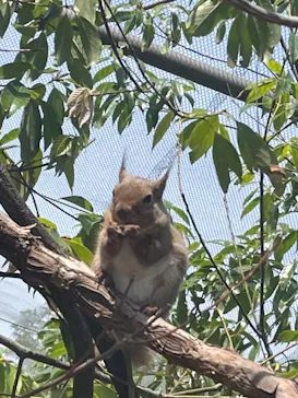 神戸どうぶつ王国に投稿された画像（2023/5/4）