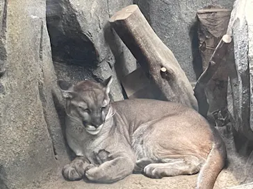 神戸どうぶつ王国に投稿された画像（2023/5/4）