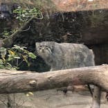 神戸どうぶつ王国に投稿された画像（2023/5/4）