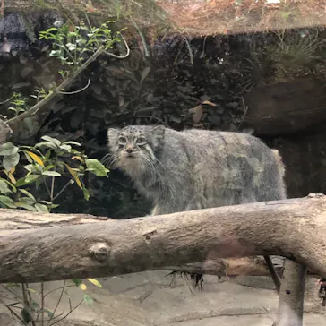 神戸どうぶつ王国に投稿された画像（2023/5/4）