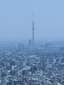 サンシャイン60展望台に投稿された画像（2023/5/4）