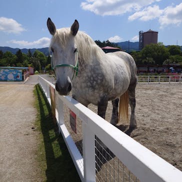 ワールド牧場に投稿された画像（2023/5/4）