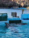 名古屋港水族館に投稿された画像（2023/5/4）