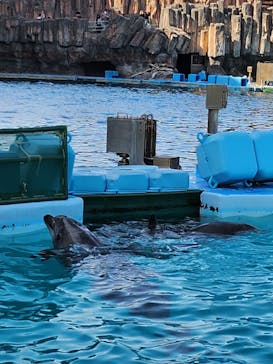 名古屋港水族館に投稿された画像（2023/5/4）