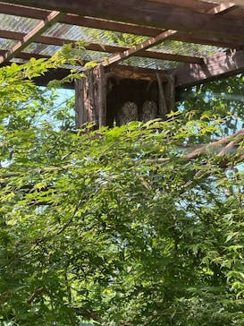 環境水族館アクアマリンふくしまに投稿された画像（2023/5/4）