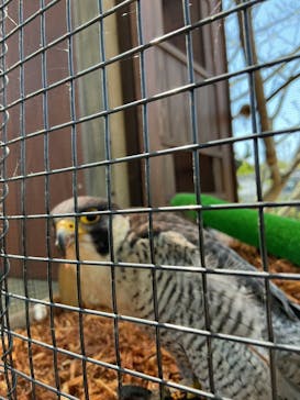 環境水族館アクアマリンふくしまに投稿された画像（2023/5/4）