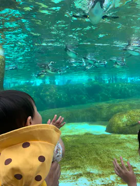 天王寺動物園に投稿された画像（2023/5/4）