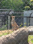 千葉市動物公園に投稿された画像（2023/5/4）