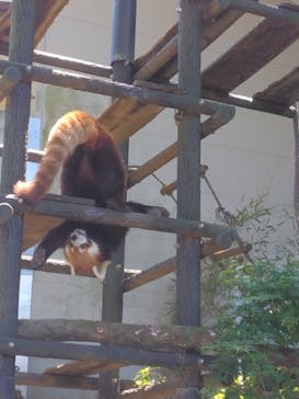 千葉市動物公園に投稿された画像（2023/5/4）