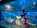 しながわ水族館に投稿された画像（2023/5/4）