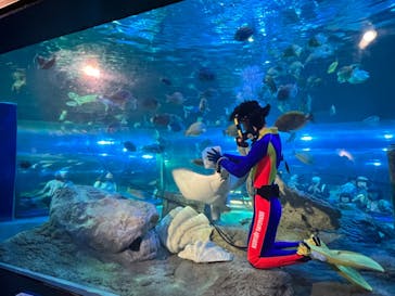 しながわ水族館に投稿された画像（2023/5/4）