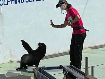 しながわ水族館に投稿された画像（2023/5/4）