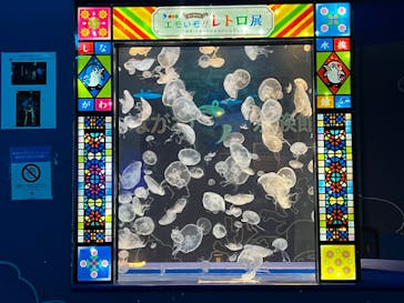 しながわ水族館に投稿された画像（2023/5/4）