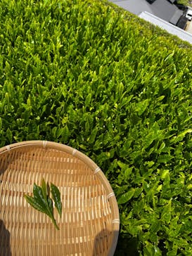 和束家に投稿された画像（2023/5/4）