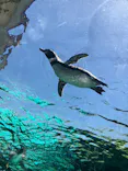 天王寺動物園に投稿された画像（2023/5/4）