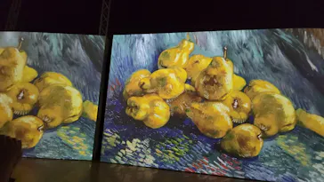 ゴッホ・アライブ神戸に投稿された画像（2023/5/4）