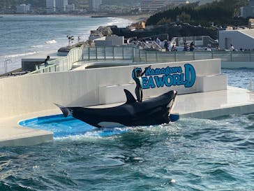 鴨川シーワールドに投稿された画像（2023/5/4）