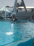 名古屋港水族館に投稿された画像（2023/5/5）
