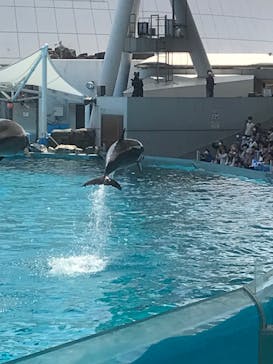 名古屋港水族館に投稿された画像（2023/5/4）