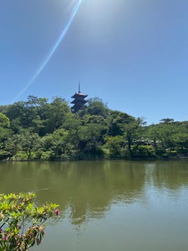 三溪園に投稿された画像（2023/5/4）