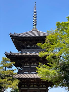 三溪園に投稿された画像（2023/5/4）