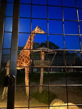 那須サファリパークに投稿された画像（2023/5/4）