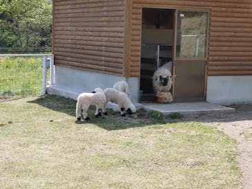 那須どうぶつ王国に投稿された画像（2023/5/4）