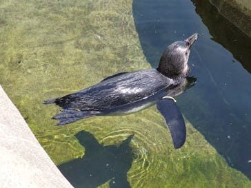 那須どうぶつ王国に投稿された画像（2023/5/4）