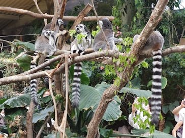 那須どうぶつ王国に投稿された画像（2023/5/4）