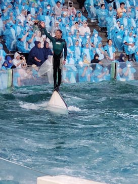 鴨川シーワールドに投稿された画像（2023/5/4）