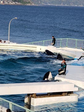 鴨川シーワールドに投稿された画像（2023/5/4）
